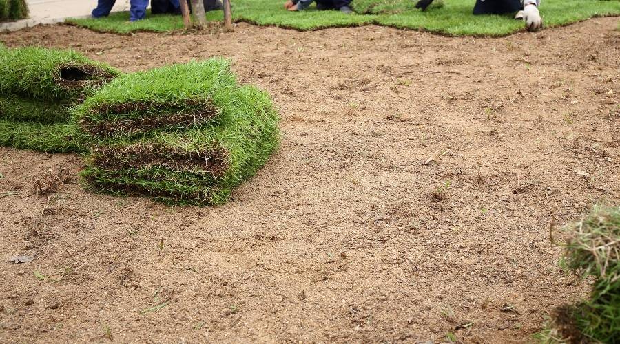 Gazon aanleggen in je tuin
